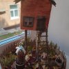 Конкурс поделок «Проказница Осень»
