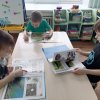 Экологическая безопасность в ДОУ